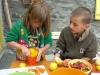 preparazioni